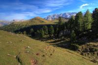 IMG_78502_0_1.jpg