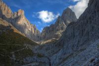 IMG_79432_0_1.jpg