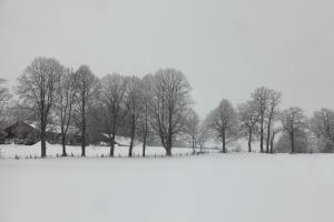 IMG_1842.JPG