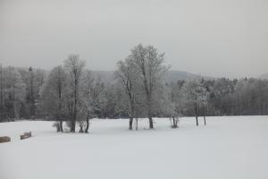 IMG_1847.JPG
