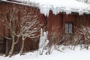 IMG_1864.JPG