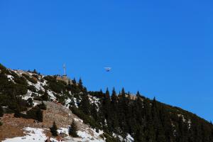 IMG_21802_0_1.JPG