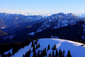IMG_22152_0_1.JPG