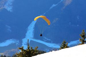 IMG_22192_0_1.JPG