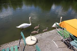 IMG_2782.JPG