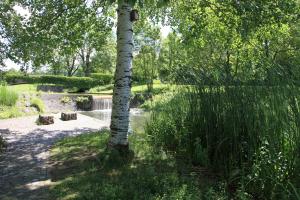 IMG_2815.JPG