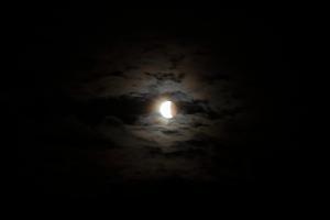 IMG_2837.JPG