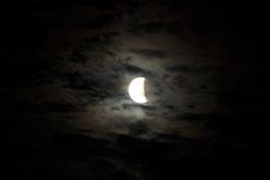 IMG_2841.JPG