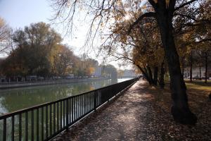 IMG_3561.JPG
