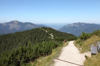 IMG_4281.JPG