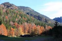 IMG_4679.JPG