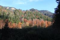 IMG_4683.JPG