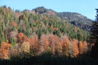 IMG_4684.JPG