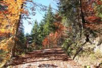 IMG_4692.JPG