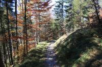 IMG_4698.JPG