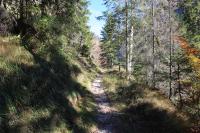 IMG_4700.JPG