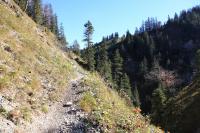 IMG_4703.JPG