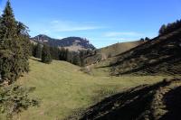 IMG_4709.JPG