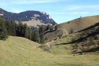 IMG_4710.JPG