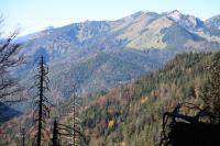 IMG_4718.JPG