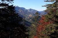 IMG_4721.JPG