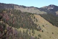 IMG_4772.JPG