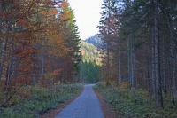 IMG_4685_0_1_2Auto.jpg