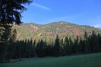 IMG_4691_0_1_2Auto.jpg