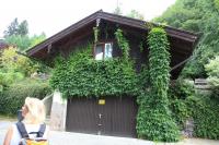 IMG_5930.JPG