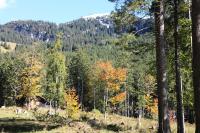 IMG_6694#.JPG