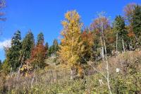 IMG_6700#.JPG