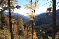 IMG_6703#.JPG