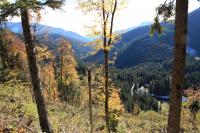 IMG_6704#.JPG