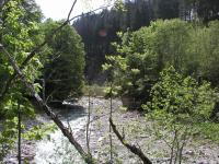 p5290003.jpg