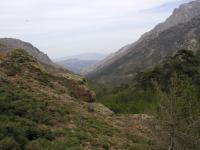 p5300151.jpg