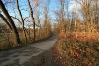 img_1754.jpg