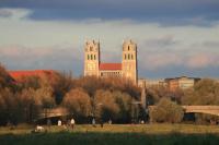 img_1769.jpg