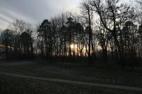 IMG_3200.JPG