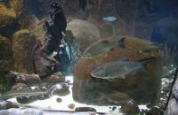 IMG_4145.JPG