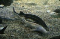 IMG_4162.JPG