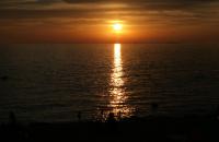 IMG_4432.JPG
