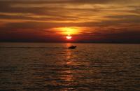 IMG_4444.JPG