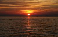 IMG_4447.JPG