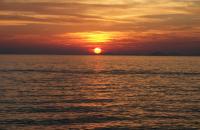 IMG_4448.JPG