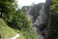 IMG_5129.JPG