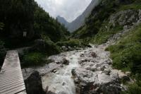 IMG_5142.JPG