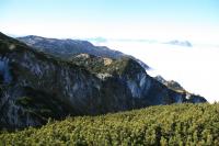 IMG_6432.JPG