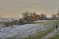 IMG_8851_2_3Enhancer.jpg