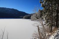 IMG_2385.JPG
