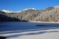 IMG_2394.JPG